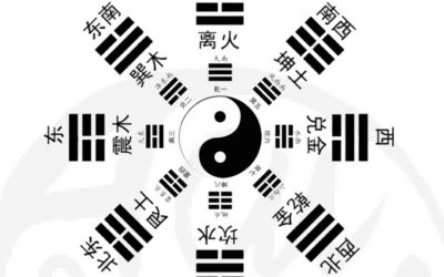 LOS OCHO VASOS EXTRAORDINARIOS Qí Jīng Bā Mài 奇經八脈