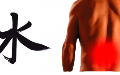 DOLOR DE ESPALDA EN UN TERRENO DE INSUFICIENCIA DE RIÑÓN (Shèn Xū 腎虛)