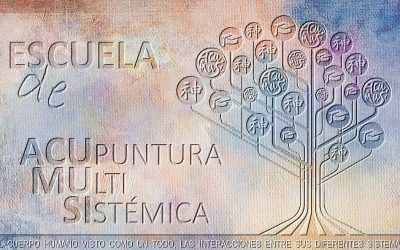 La Acupuntura Multisistémica