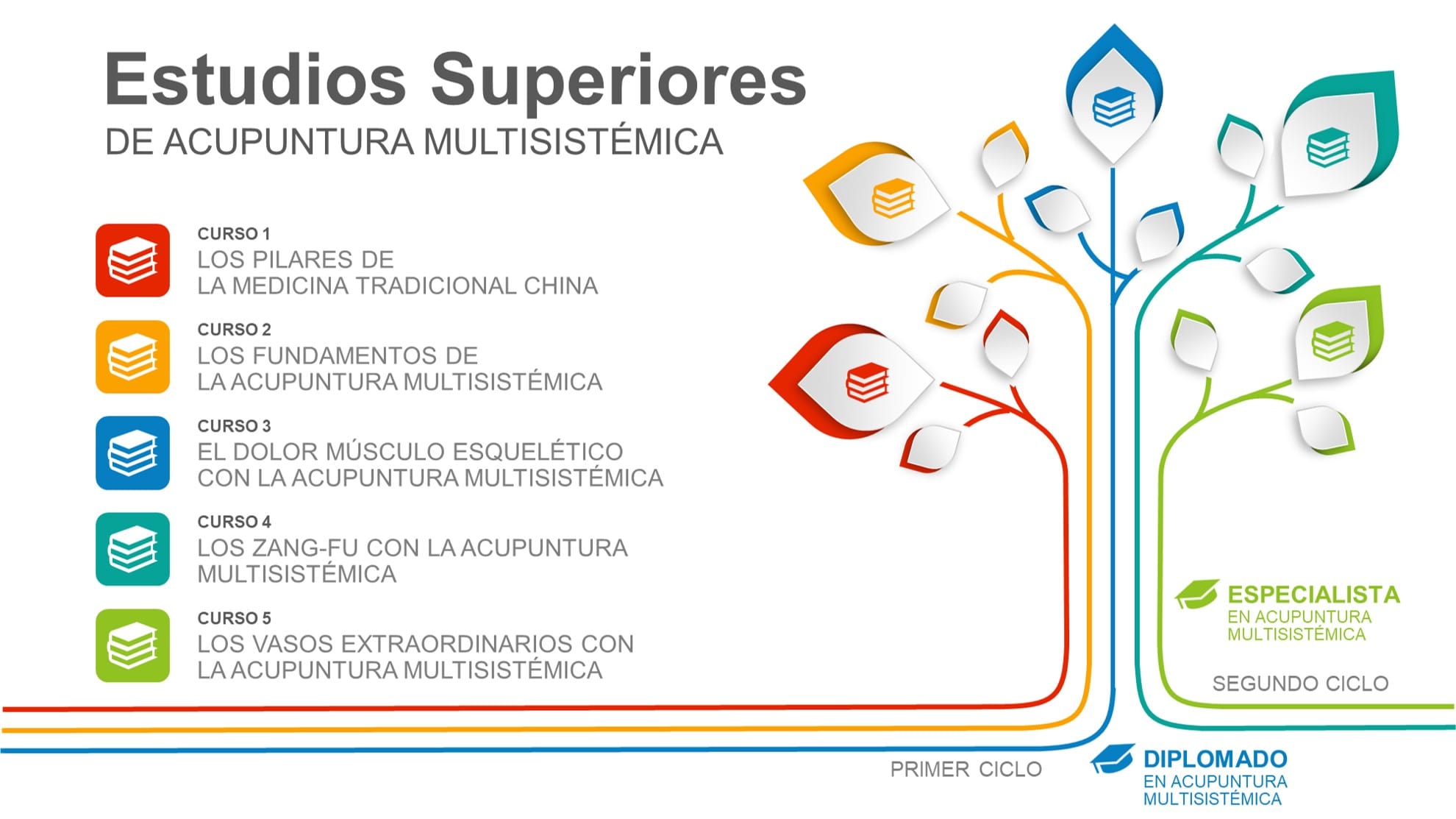 Cursos del Plan de Estudios Superiores de Acupuntura Multisistémica