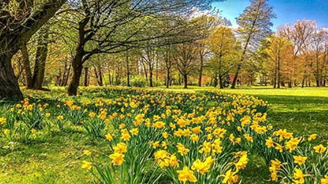La Acupuntura en la Primavera (2 de 2)