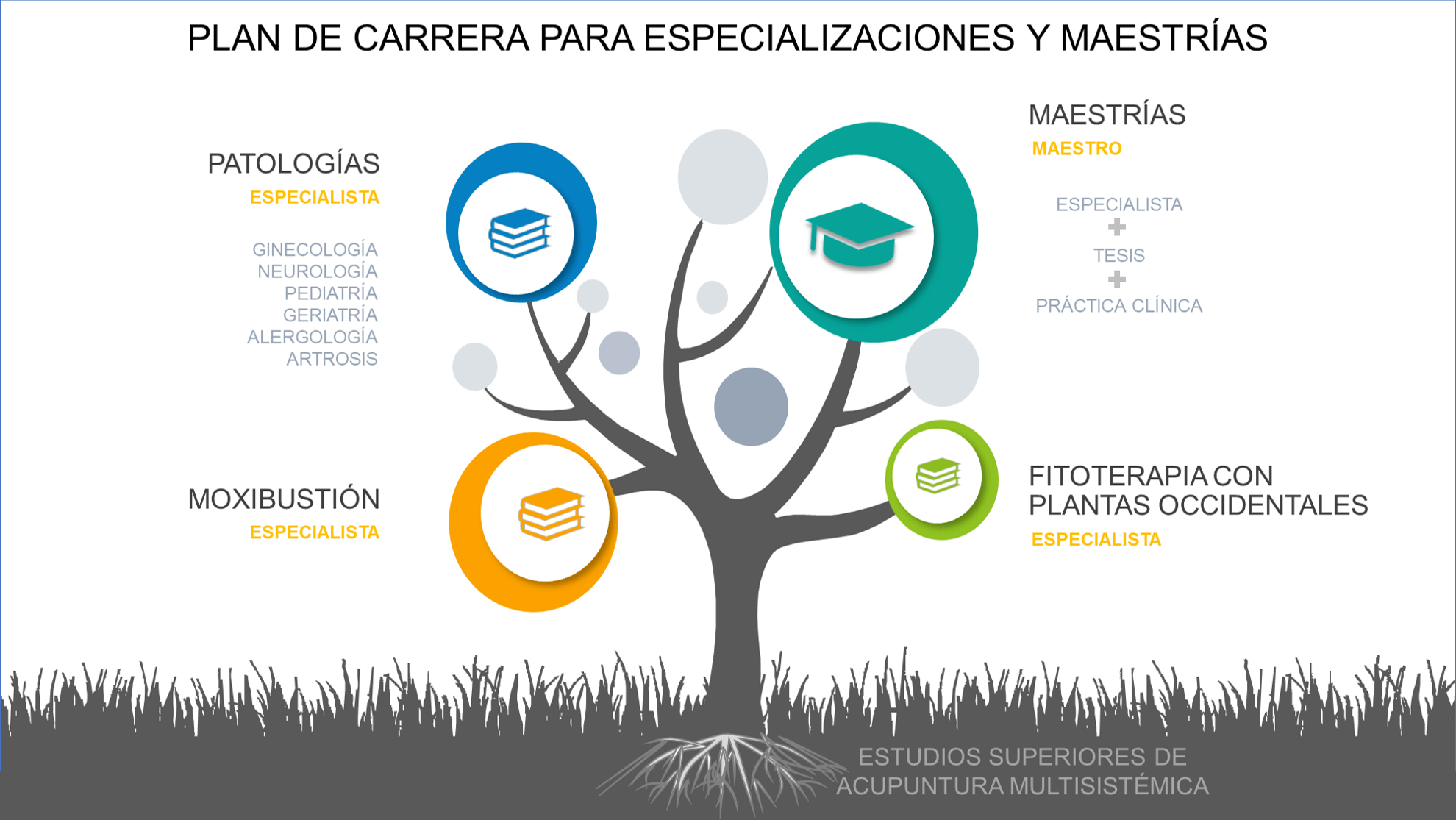 Plan de Carrera en Escuela de Acumusi