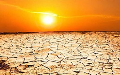 La Acupuntura en el Verano (2 de 2)