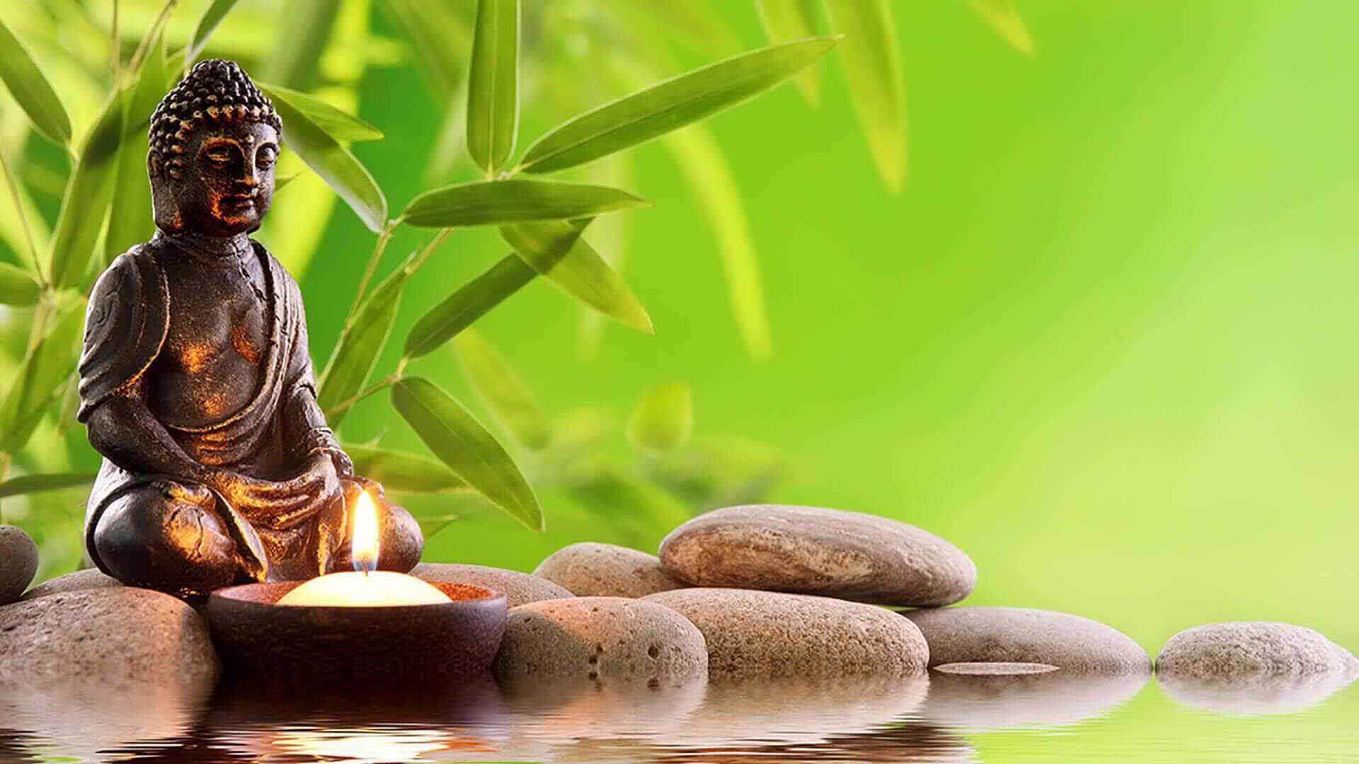 curso de Fundamentos Medicina Tradicional China