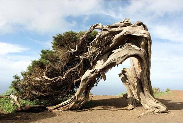 Efectos del Viento