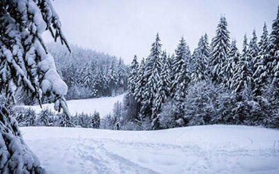 La Acupuntura en el Invierno (2 de 2)