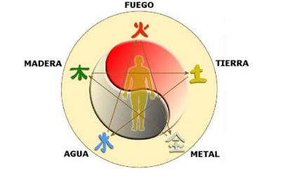 Nei Yang Gong o Movimiento Fuego
