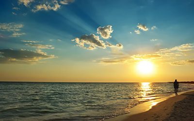 La Acupuntura en el Verano Tardío (2 de 2)